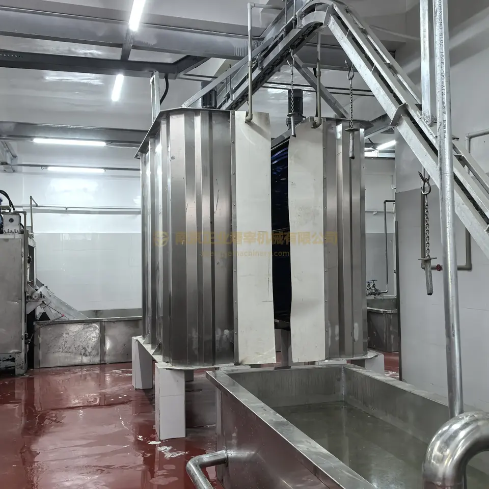 Pig-line enclosure and adjacent conveying equipment in Fuyang